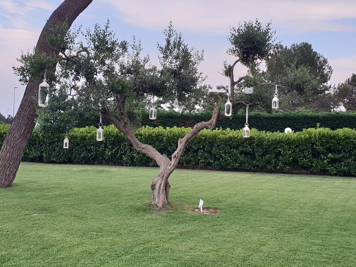 מוטולה Villa Natia מראה חיצוני תמונה